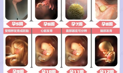 小林制药安美露的功效专区_小林制药官方旗舰店专区_小林制药祛斑没效果网